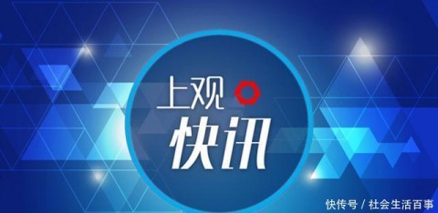 在上海干招标代理，我差点被“纸山”埋了，直到AI救了我的老命