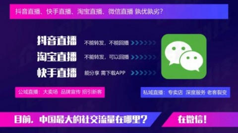 从“韭菜”到“镰刀”：我如何靠同花顺AI项目实现财务自由？（附真实踩坑经历）